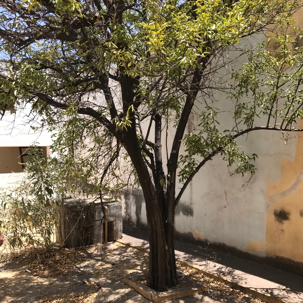 Meet your Posher, Janet